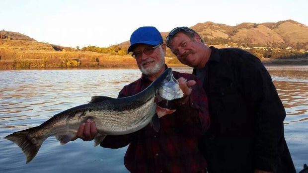 Salmon